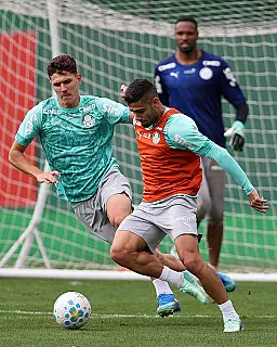 Santos e Palmeiras jogam pelo Brasileiro