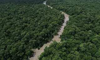 Desmatamento caiu 41,8% na Amazônia e 23,8% no Cerrado