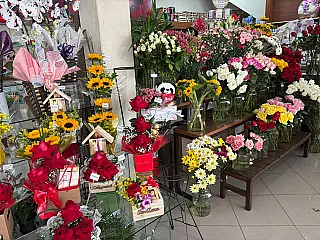 Floriculturas vêem vendas para Feriado de Finados com pessimismo